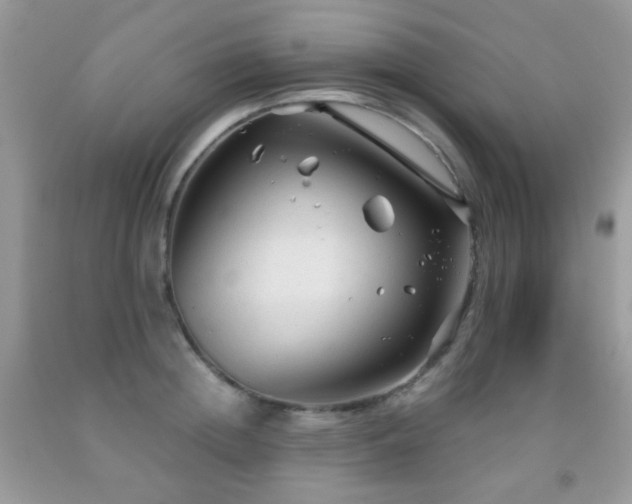 X0000091970852200709061330