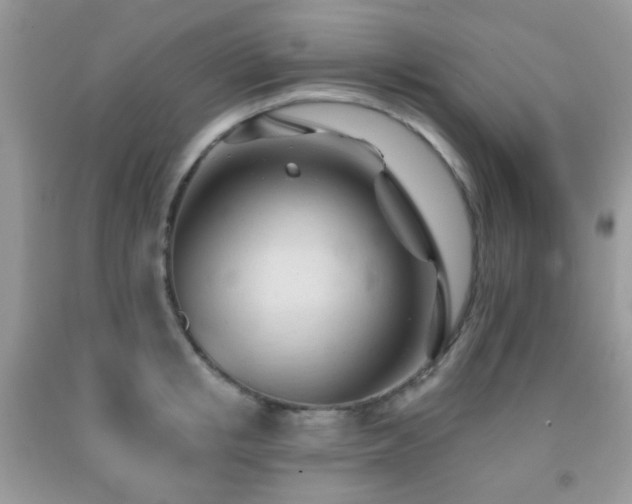 X0000091970853200709061330