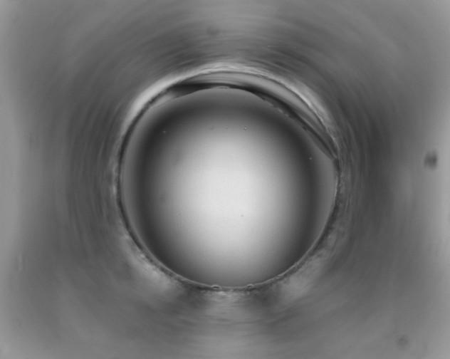 X0000091970854200709061330