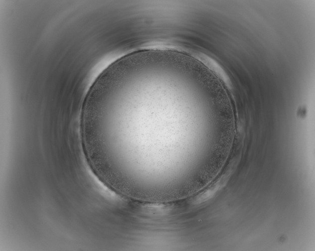 X0000091970855200709061330