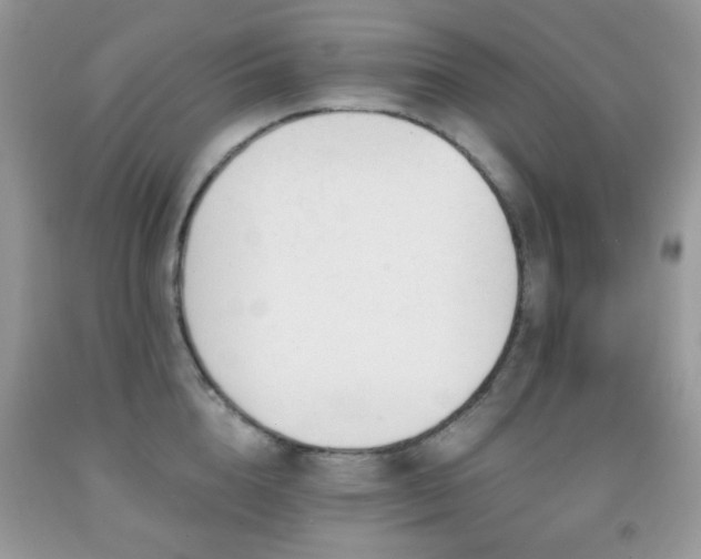 X0000091970856200709061330