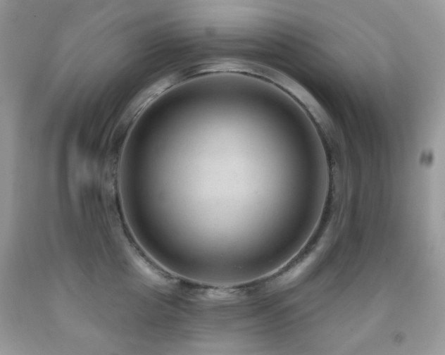X0000091970857200709061330