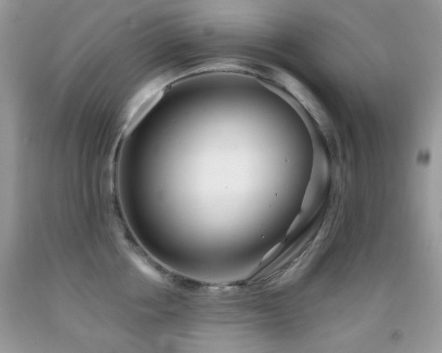 X0000091970858200709061330