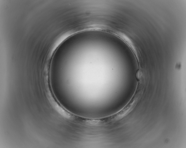X0000091970859200709061330