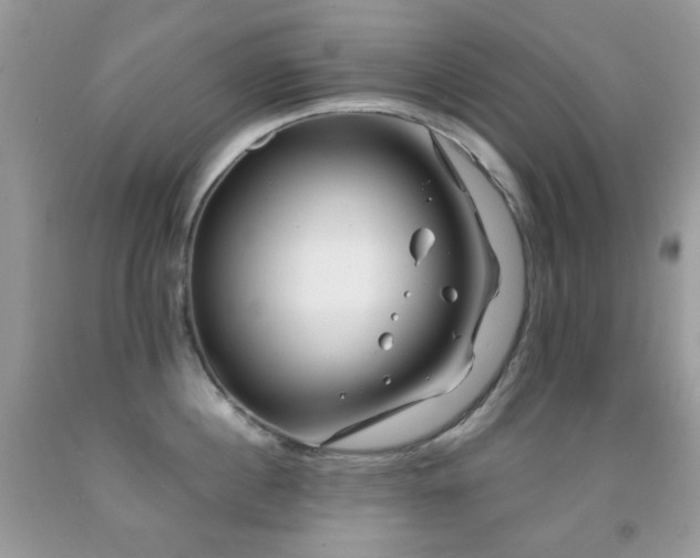 X0000091970860200709061330