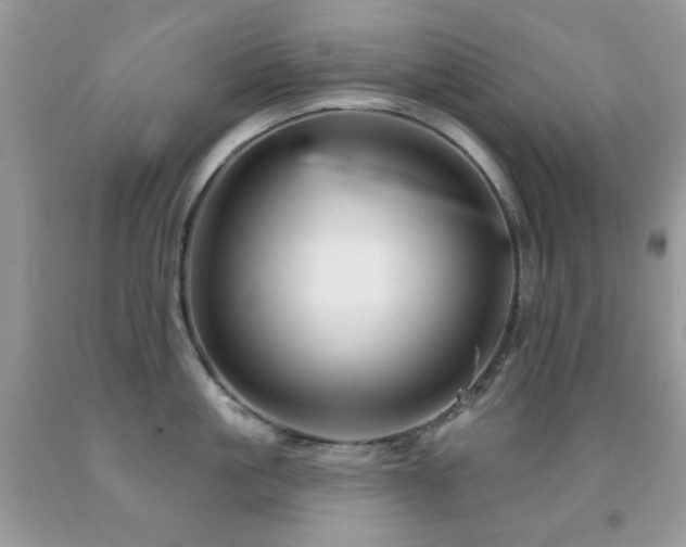 X0000091970861200709061330