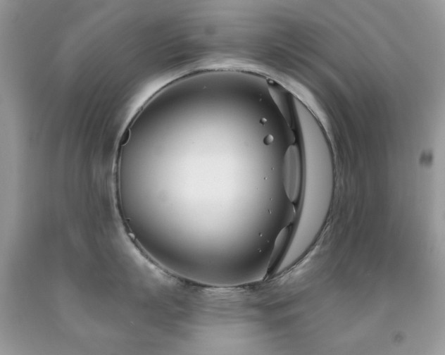 X0000091970863200709061330