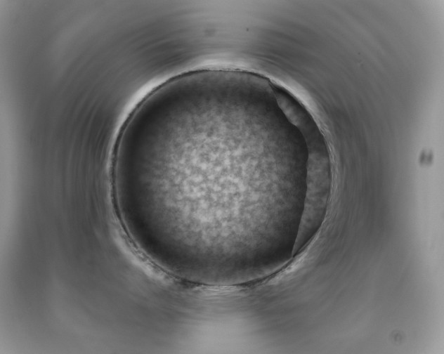X0000091970864200709061330