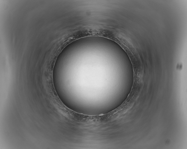 X0000091970865200709061330