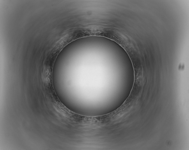 X0000091970866200709061330