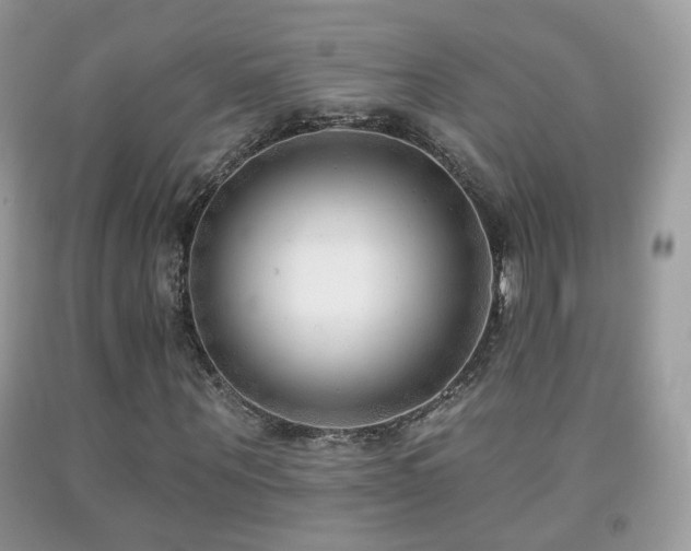 X0000091970867200709061329