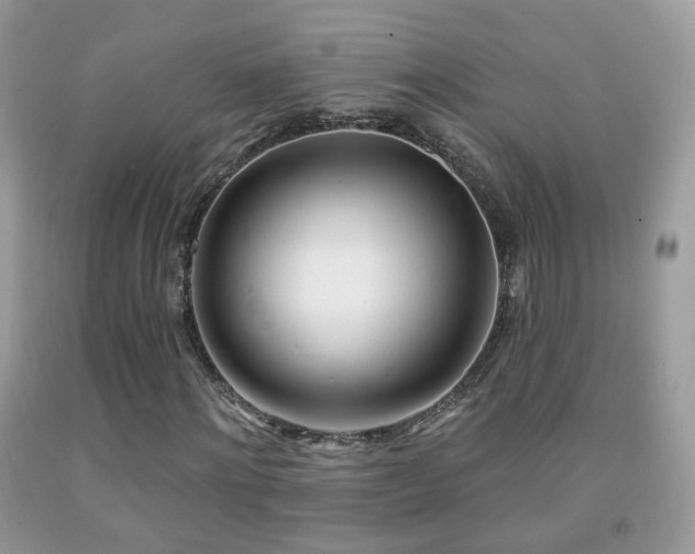 X0000091970868200709061329