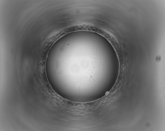 X0000091970869200709061329