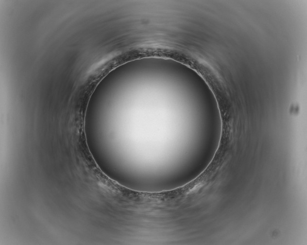 X0000091970870200709061329