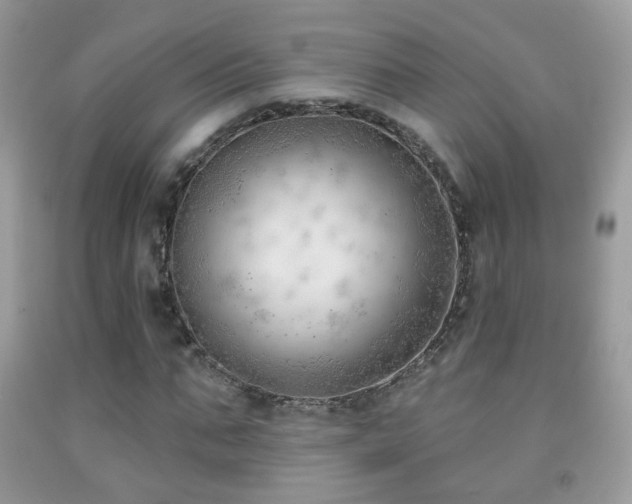 X0000091970871200709061329