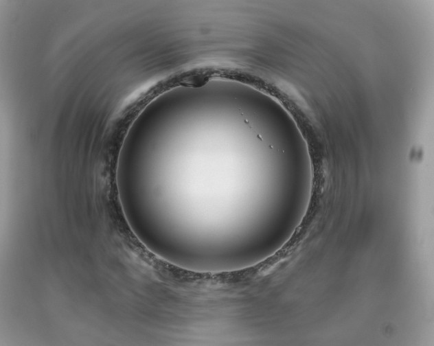 X0000091970872200709061329