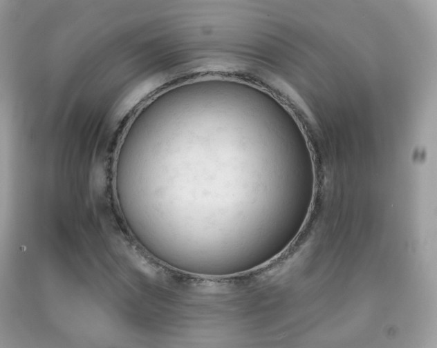 X0000091970874200709061329