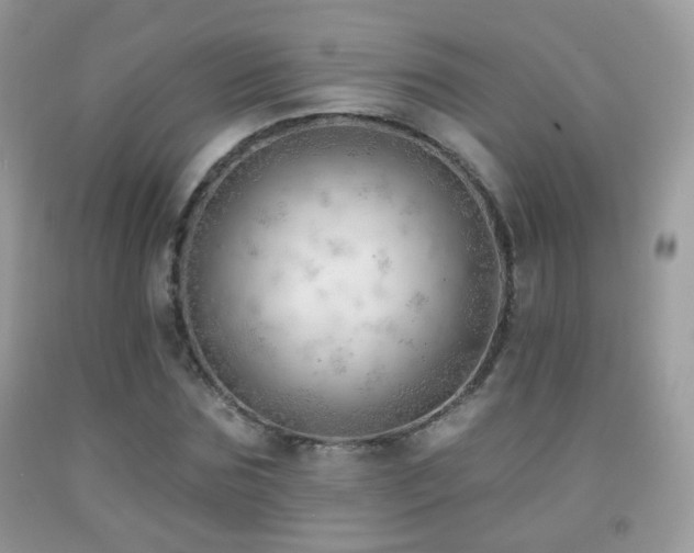 X0000091970875200709061329