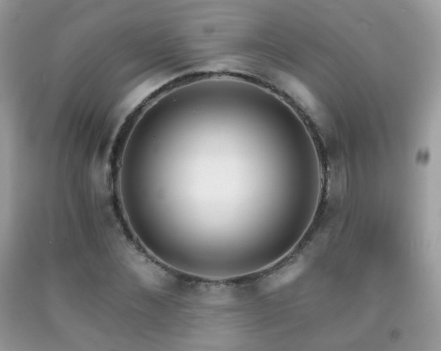 X0000091970876200709061329