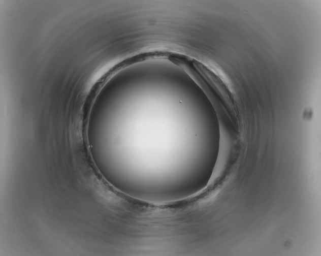 X0000091970877200709061329