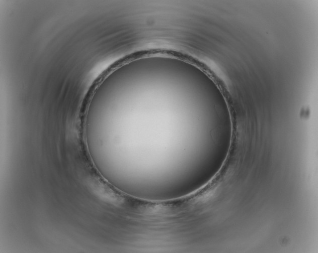 X0000091970879200709061329
