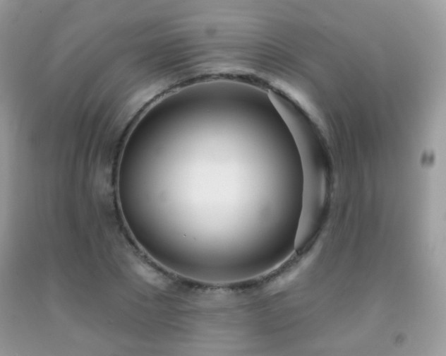 X0000091970881200709061329