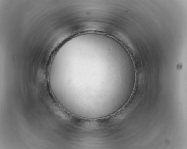 X0000091970882200709061329