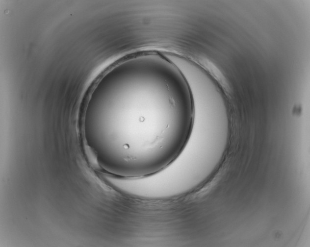 X0000091970884200709061329