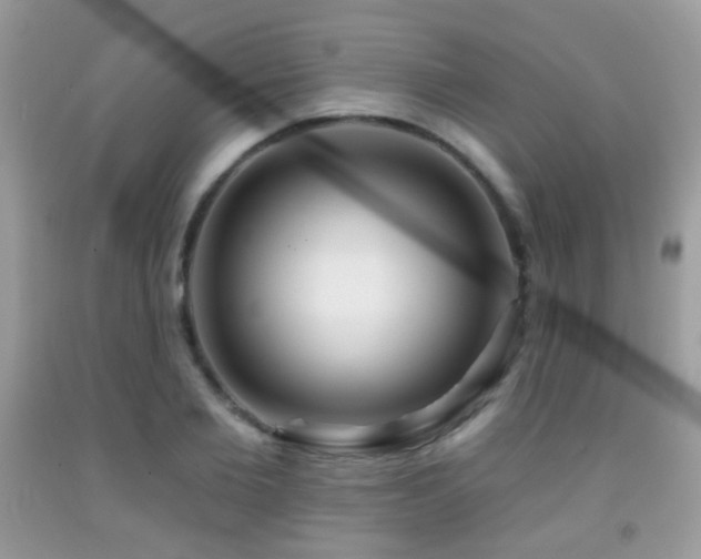 X0000091970885200709061329