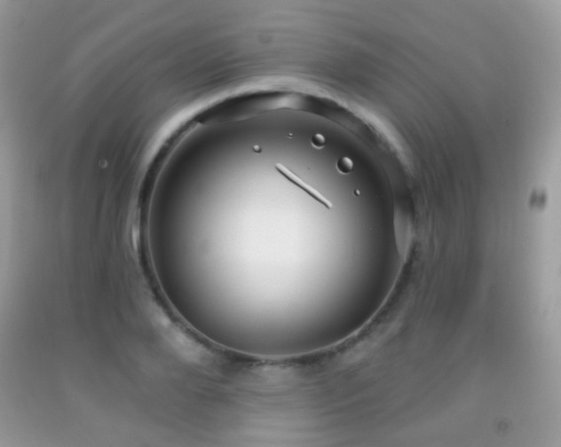 X0000091970888200709061329