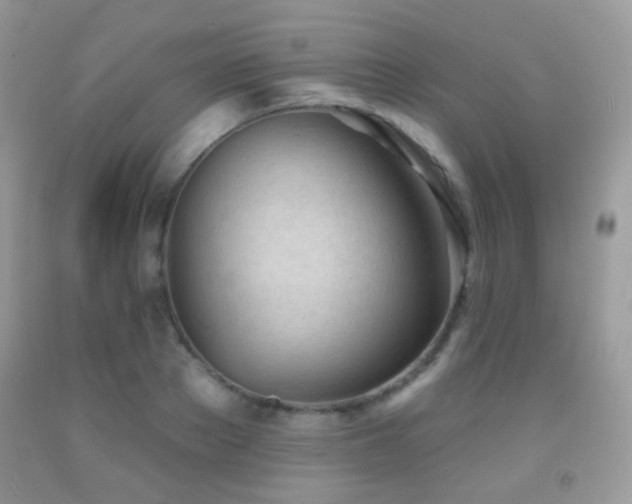 X0000091970889200709061329