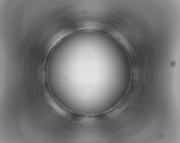 X0000091970890200709061329