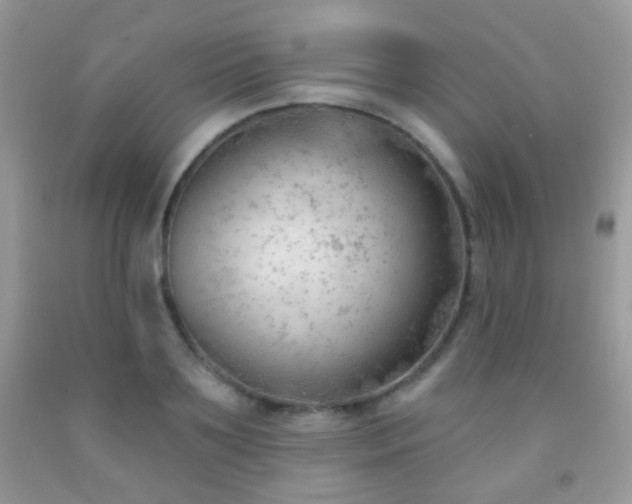 X0000091970891200709061329
