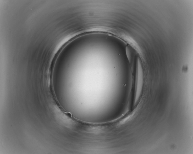 X0000091970892200709061329