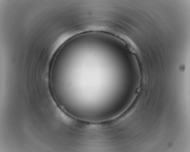 X0000091970894200709061329