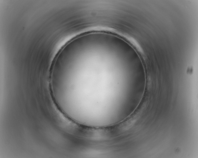 X0000091970895200709061329