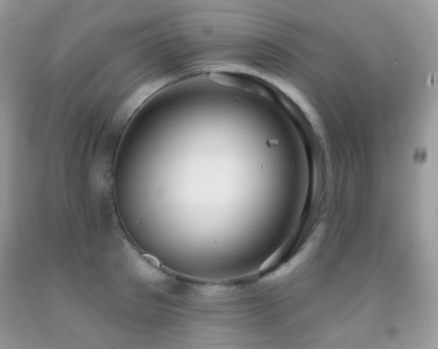 X0000091970897200709061329