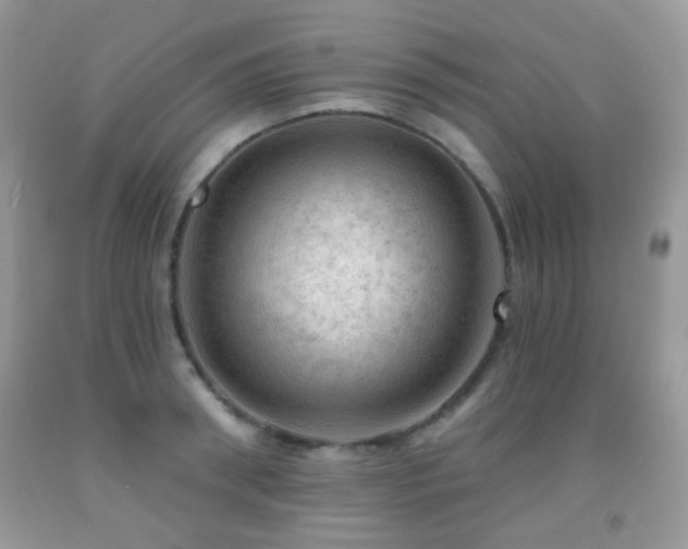 X0000091970898200709061329