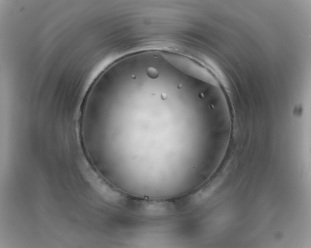 X0000091970899200709061329