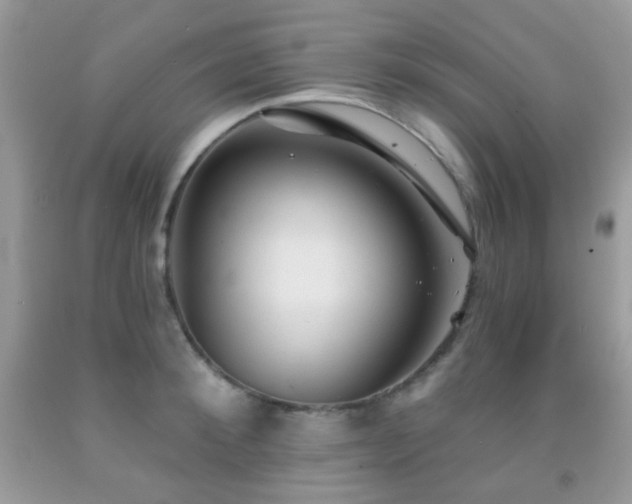 X0000091970900200709061329