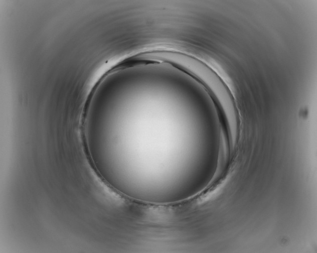 X0000091970901200709061329