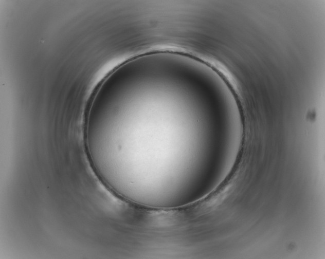 X0000091970902200709061329