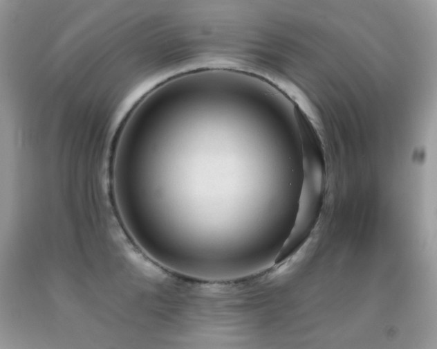 X0000091970904200709061329