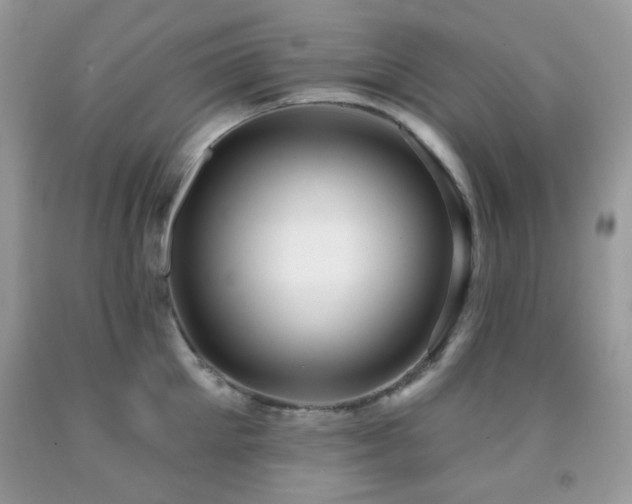 X0000091970905200709061329