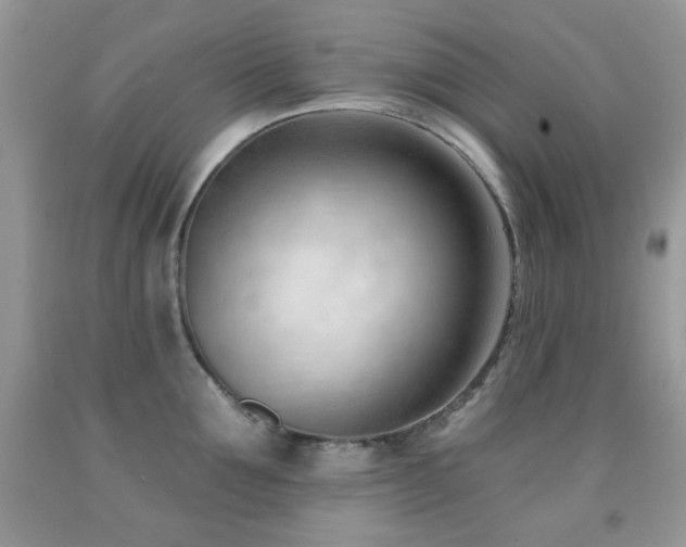 X0000091970907200709061329