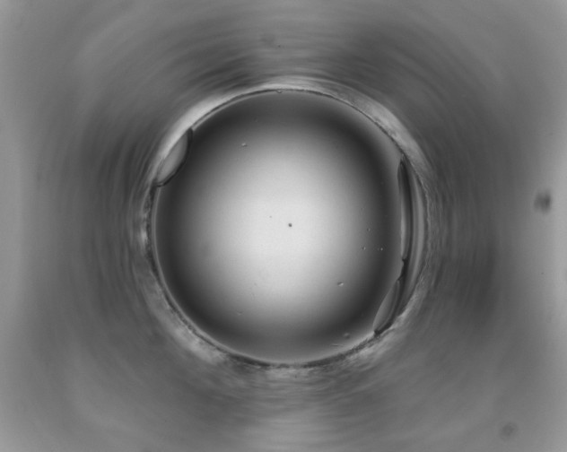 X0000091970908200709061329