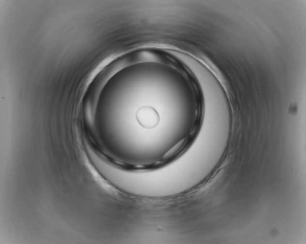 X0000091970909200709061329