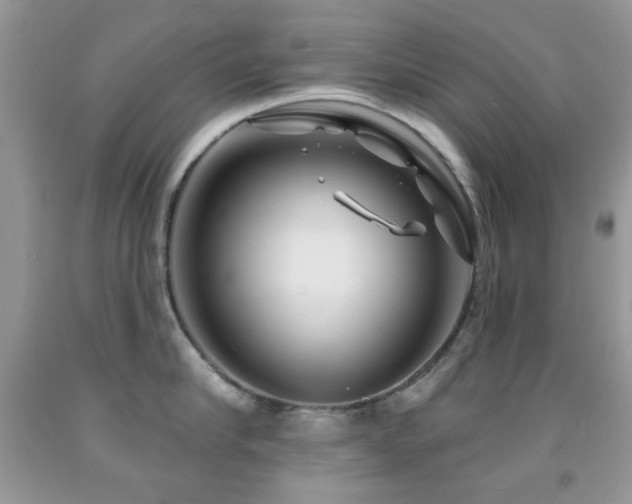 X0000091970910200709061329