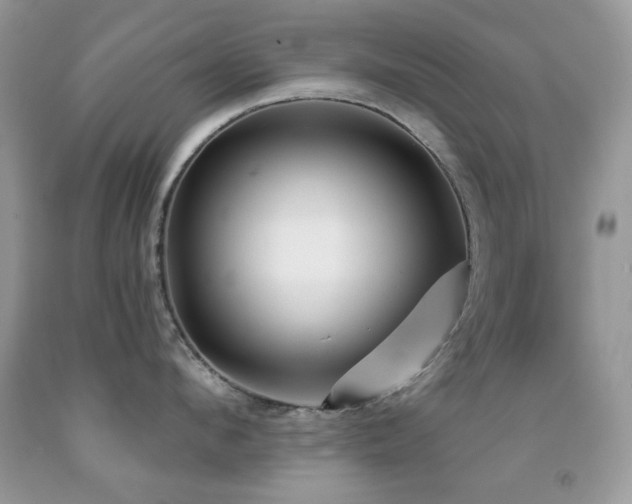 X0000091970912200709061329