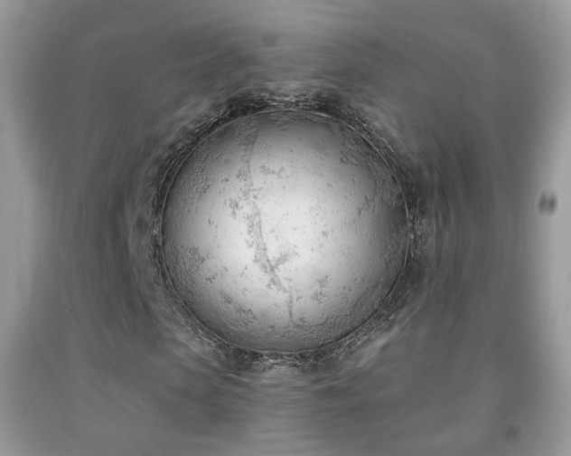 X0000091970913200709061328